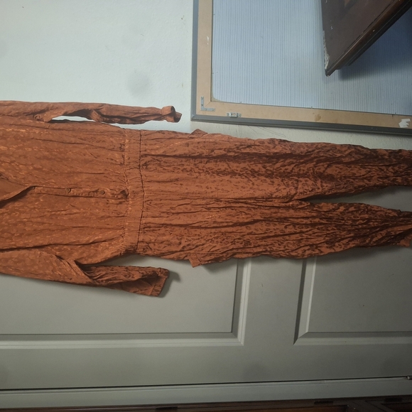 Vibrant Orange Jumpsuit with Silky Relaxed Fit - Picture 3 of 7